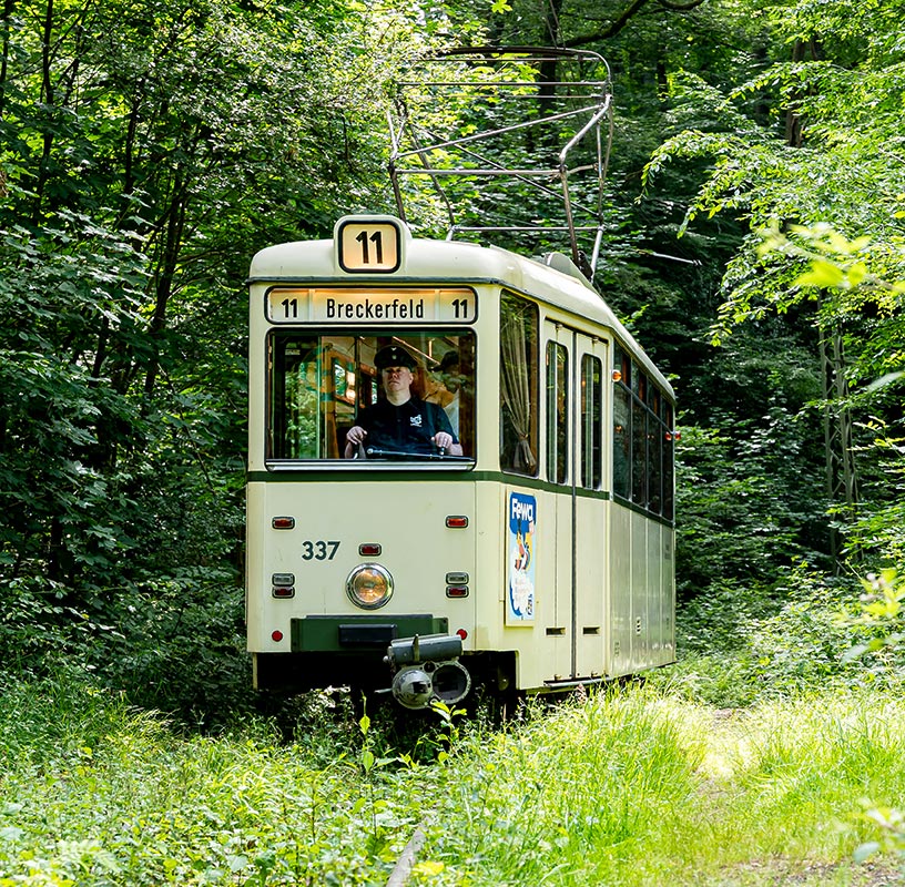 Zurück auf der Schiene